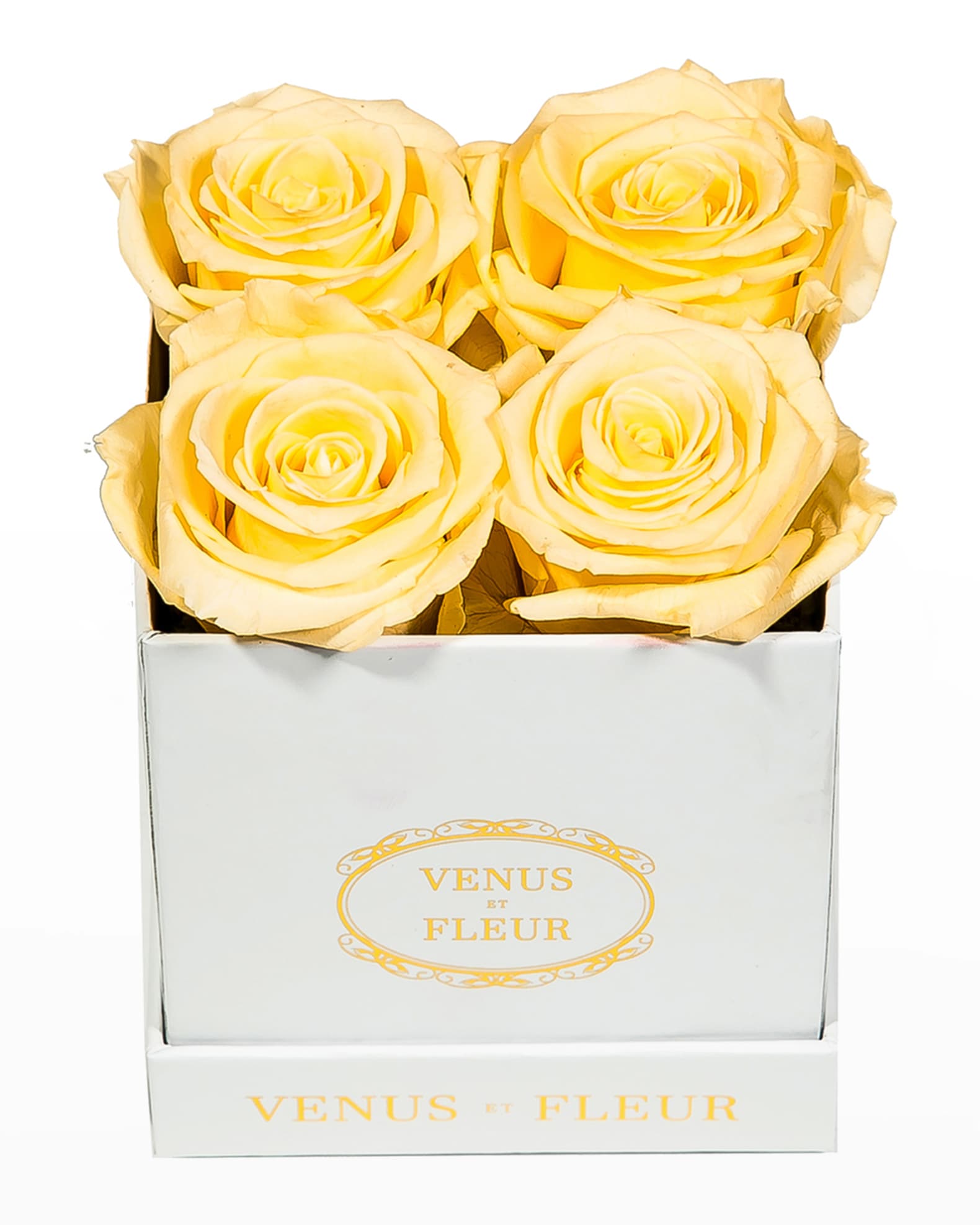 Venus ET Fleur Classic Petite Square Rose Box