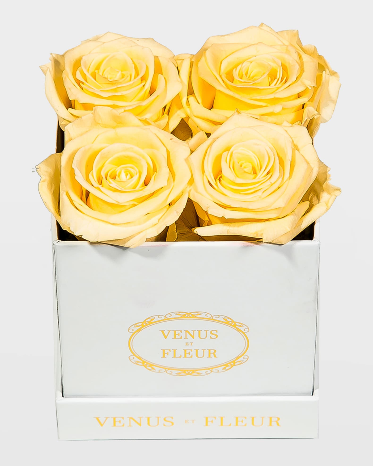 Venus ET Fleur Classic Petite Square Rose Box Horchow