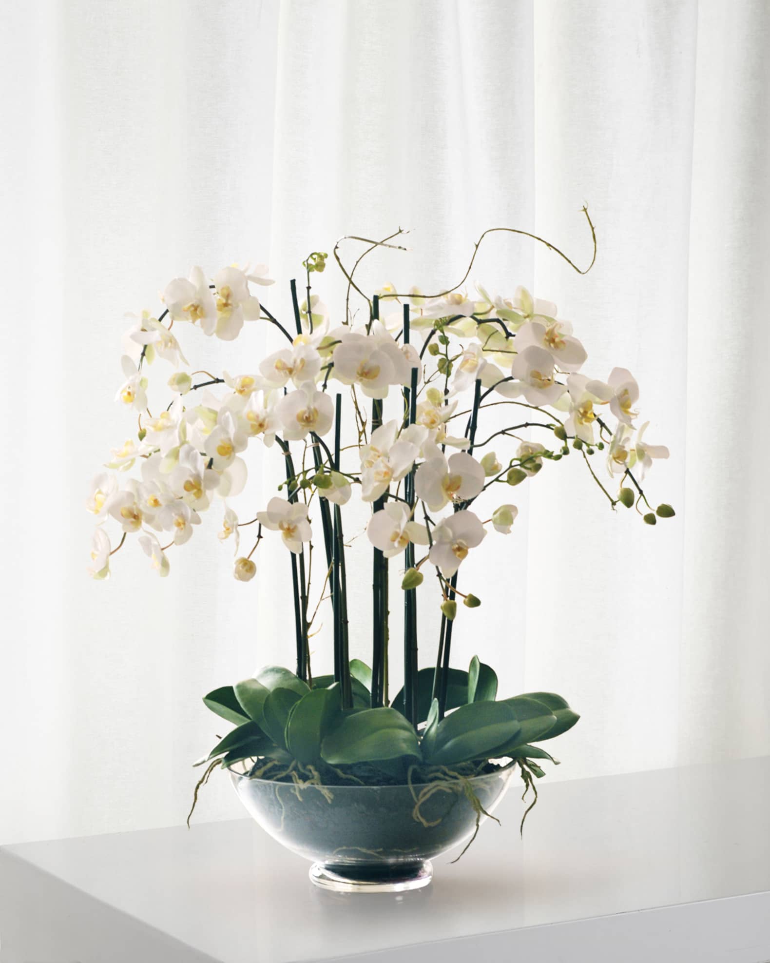 Winward Home Phalaenopsis in Glass Bowl