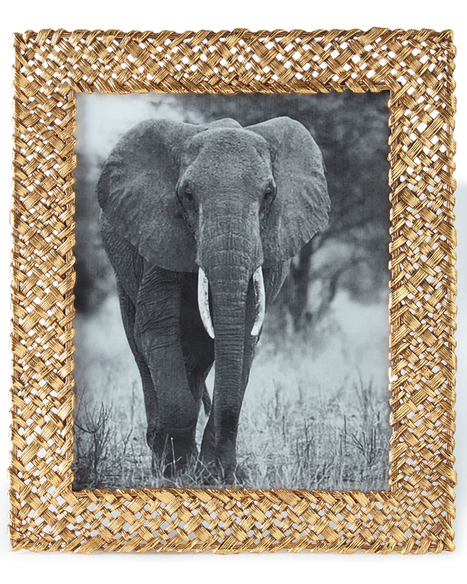 Michael aram cheap elephant frame