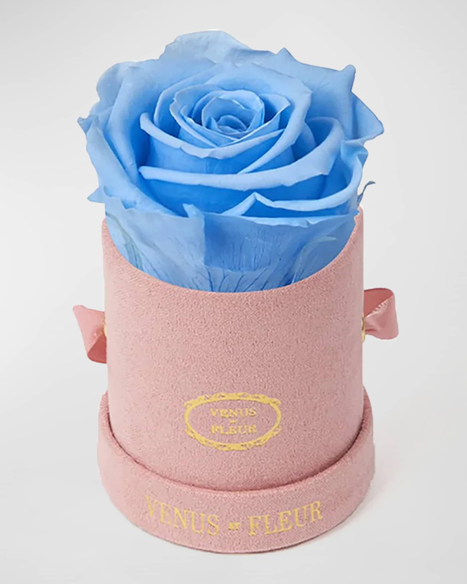 Venus ET Fleur Suede Mini Round Rose Box Horchow