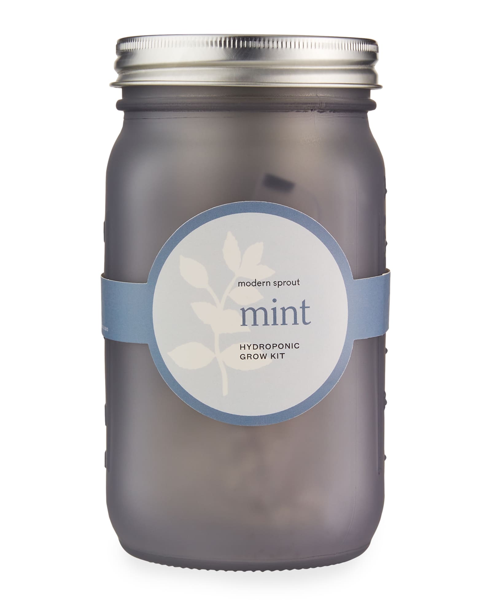 Modern Sprout Garden Jar (Mint)