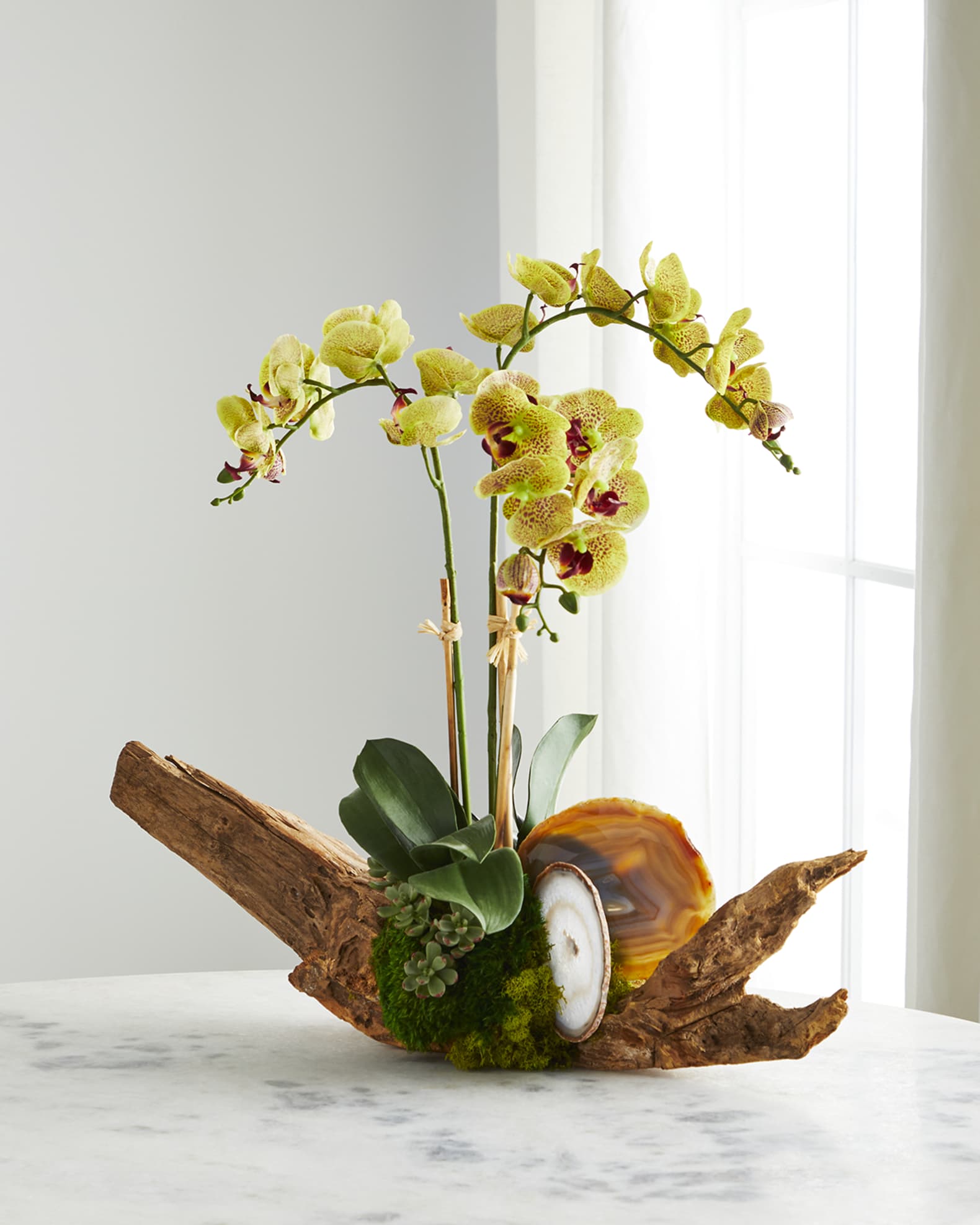 T&C Floral Company Green Orchid in Driftwood Agate Slabs Horchow