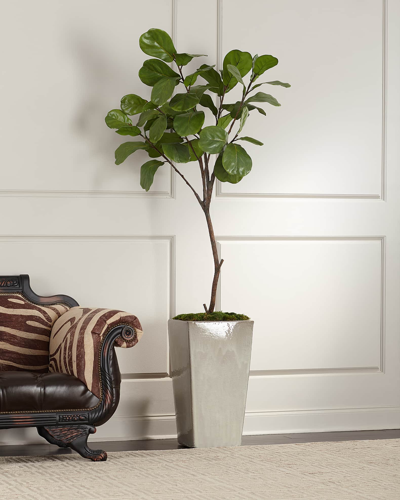 John-Richard Collection Tarro Fig Tree