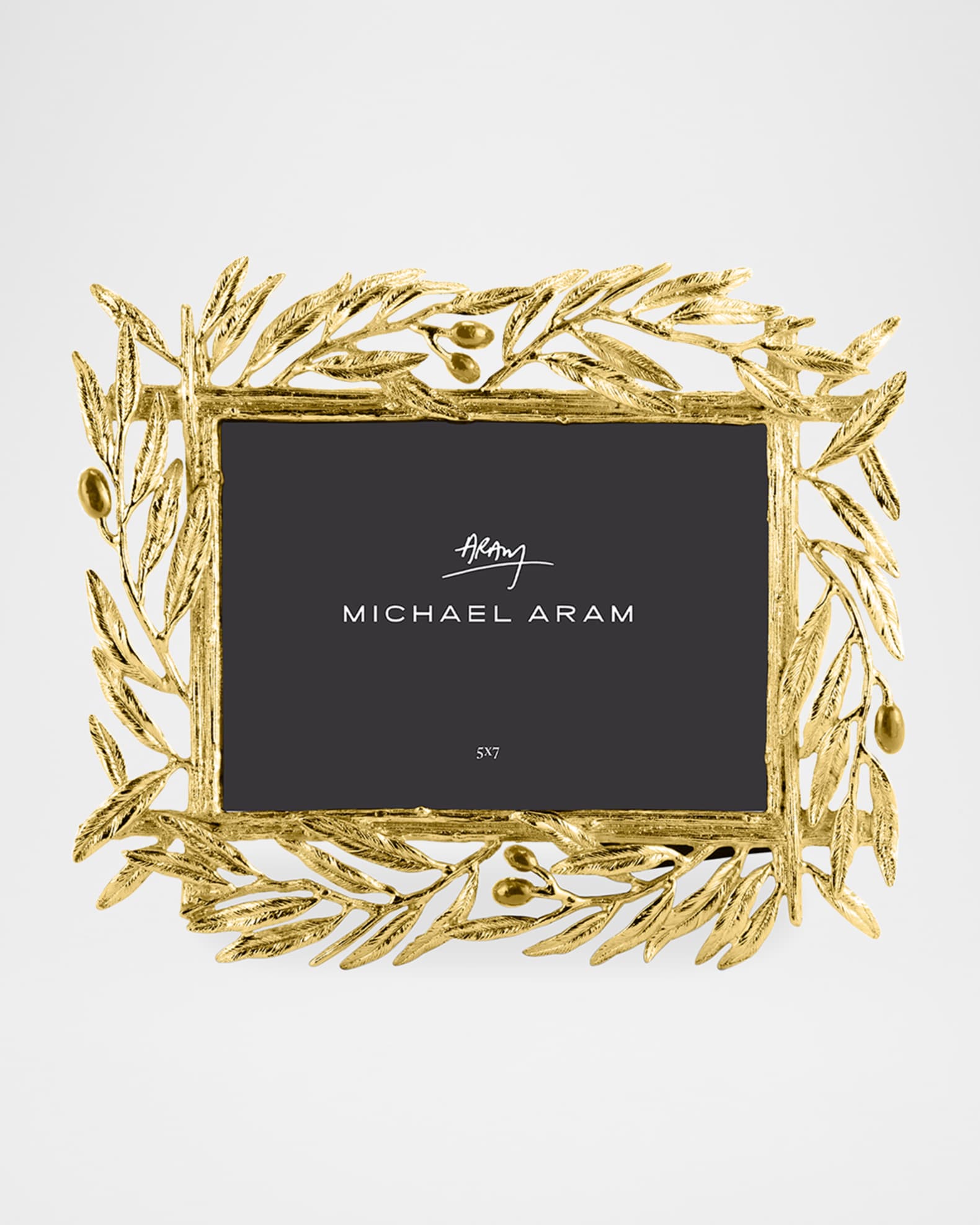 Michael aram reflective frame outlet
