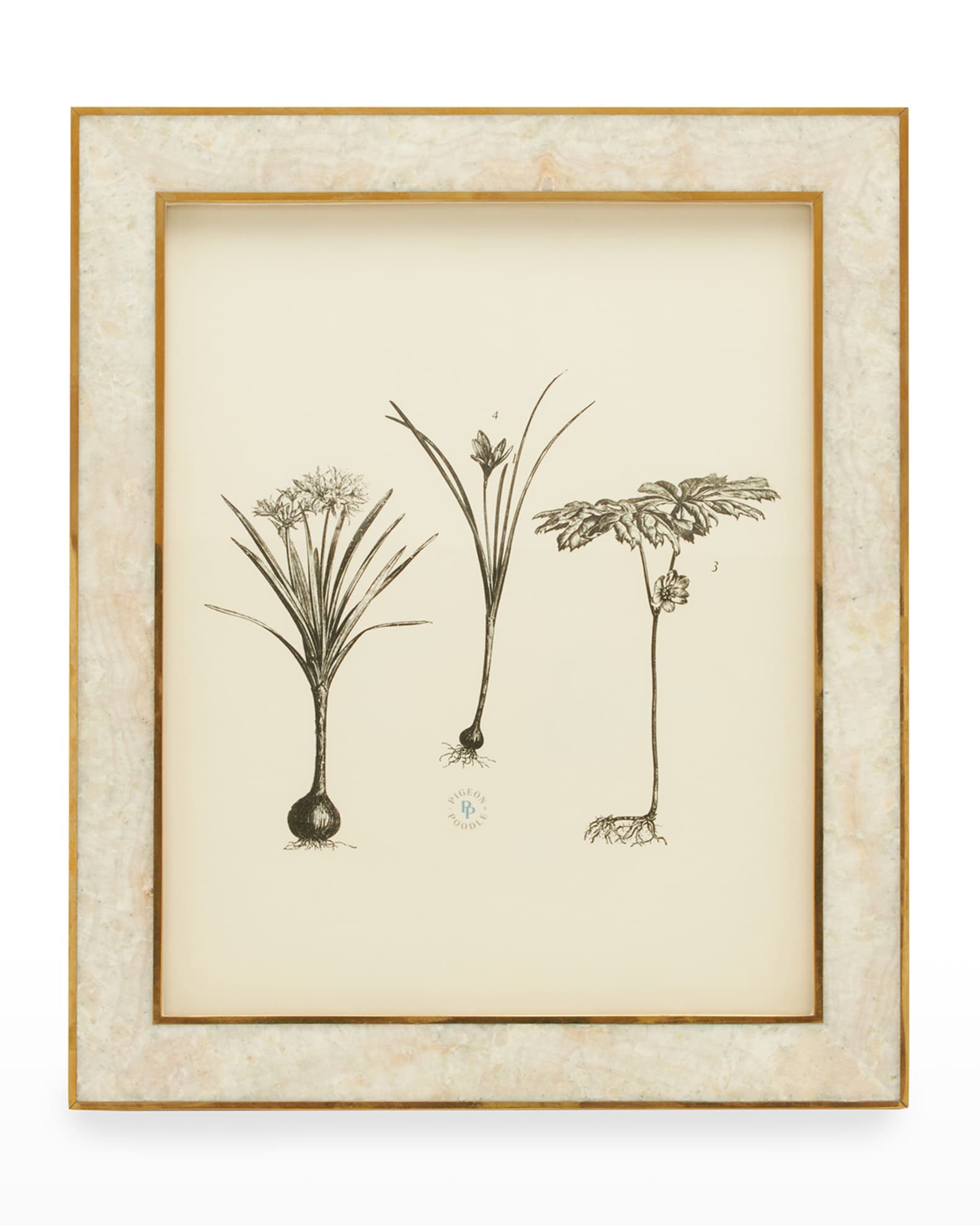 Pigeon and Poodle Helena Frame, 8x10 Horchow