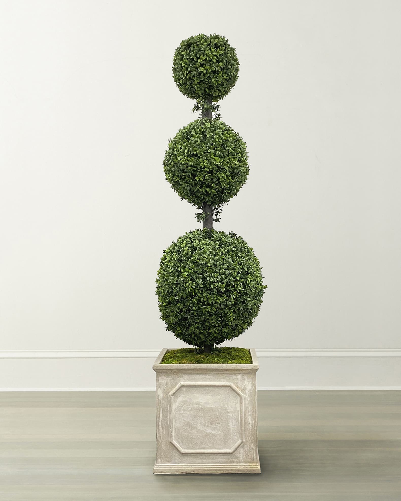 Tall boxwood shop