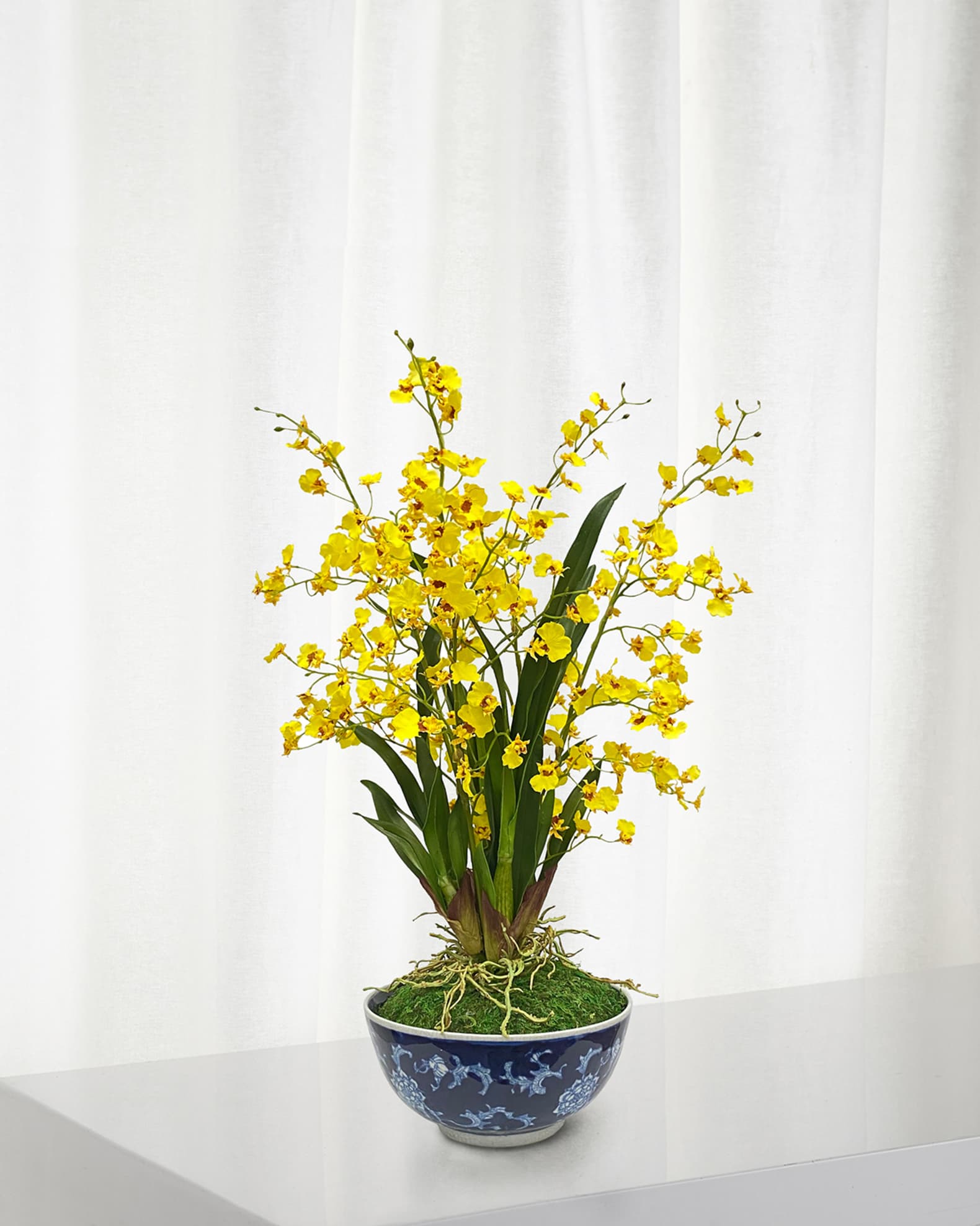 Winward Home Oncidium in Longlife Bowl