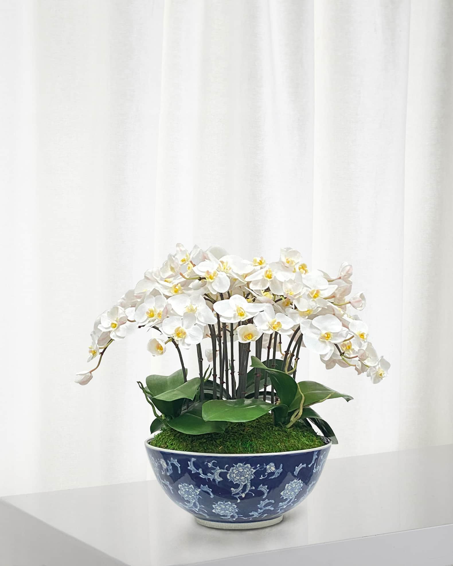 Winward Home Orchid in Longlife Bowl