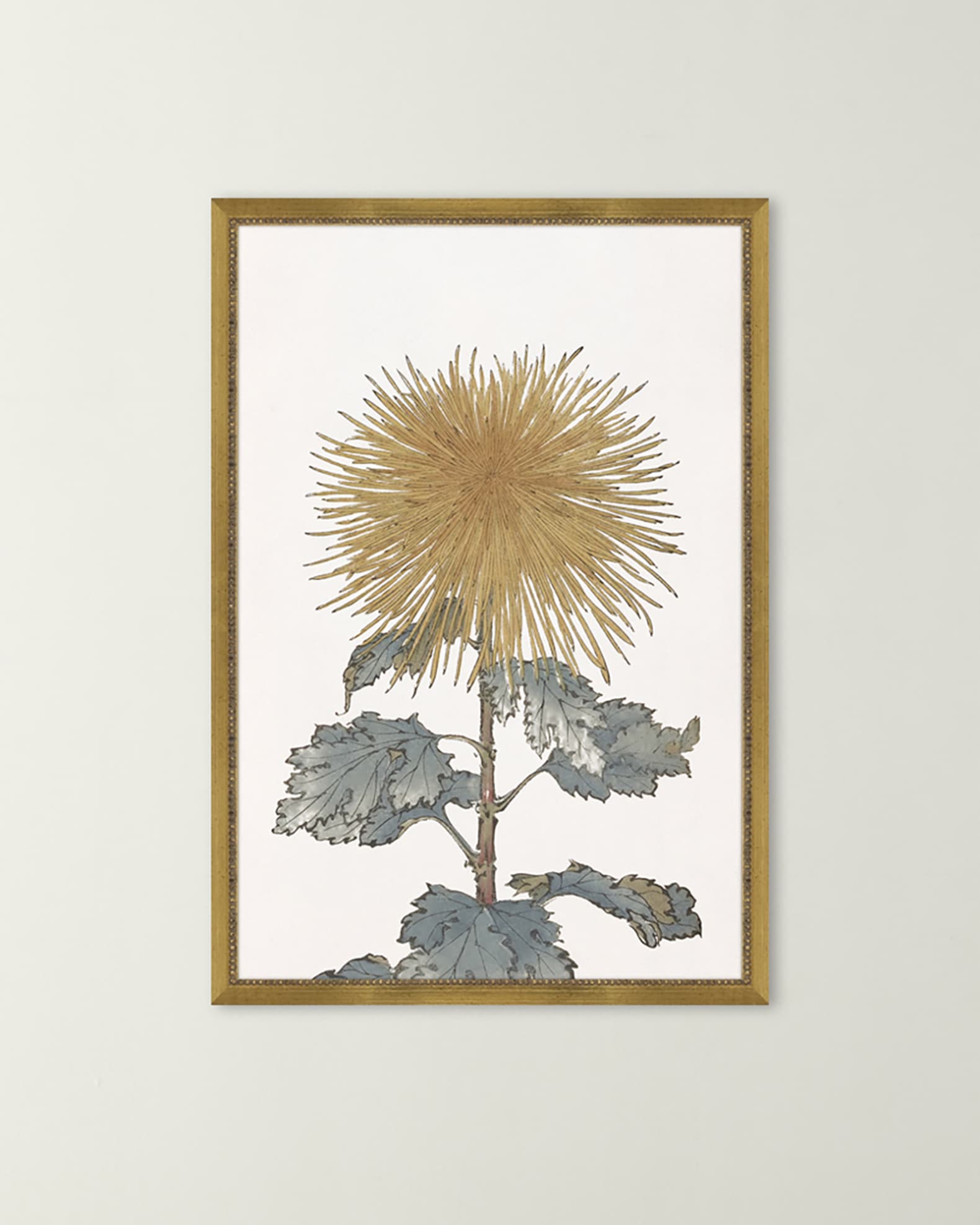 "Chrysanthemum" Giclee, Set of 4