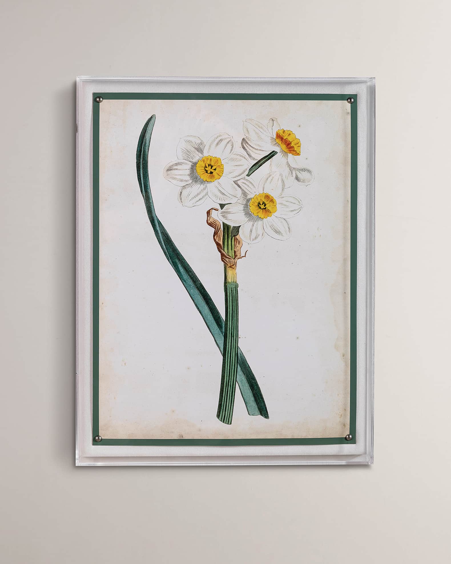 Port 68 "Narcissus III" Giclee Print 