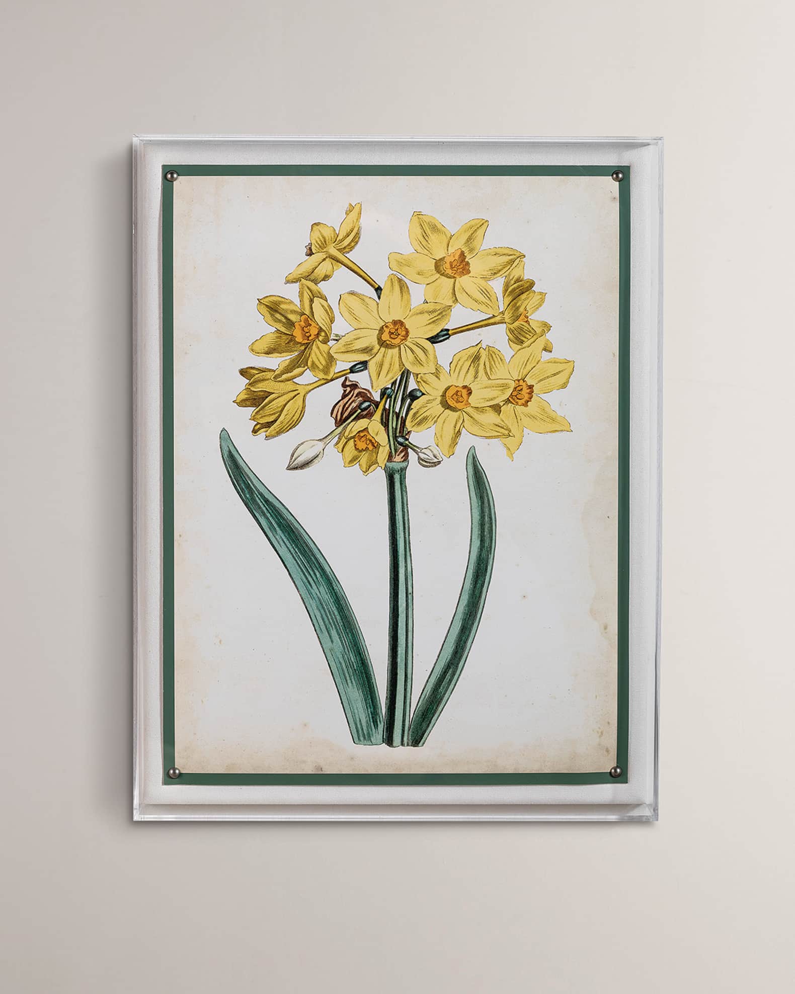 Port 68 "Narcissus II" Giclee Print
