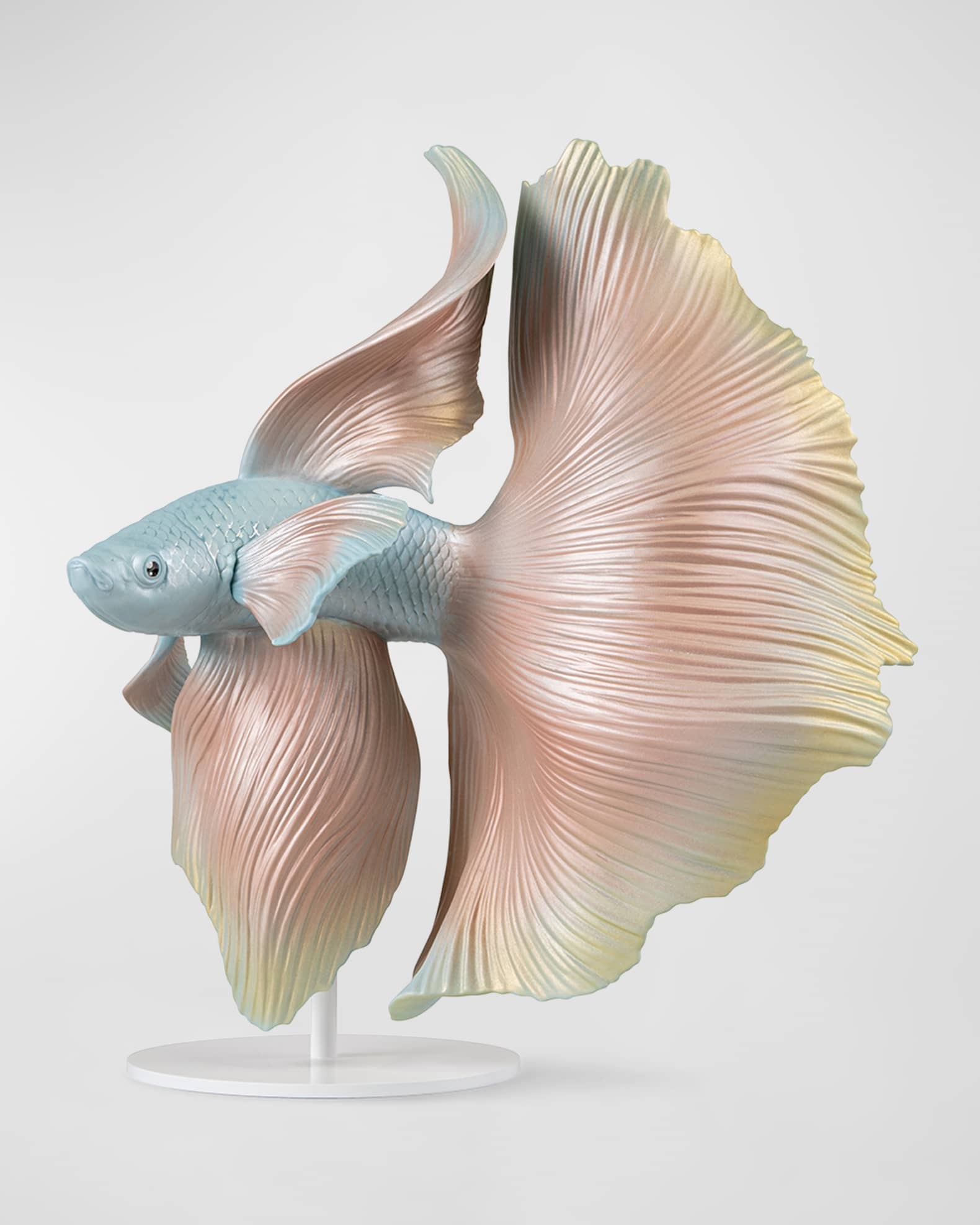 Free betta fish store