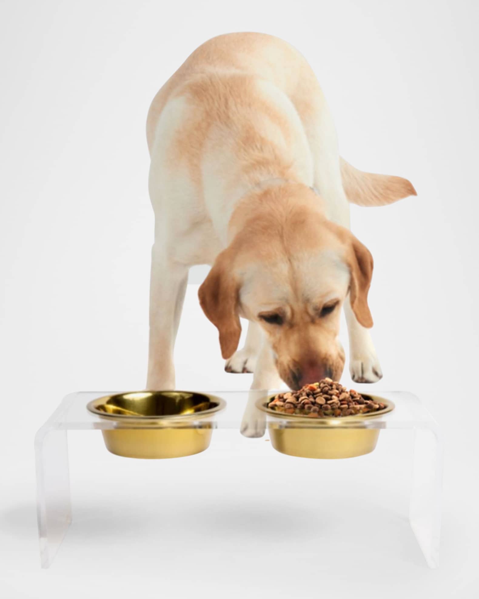 HIDDIN Medium Clear Double Golden Bowl Pet Feeder, 1 Qt Horchow
