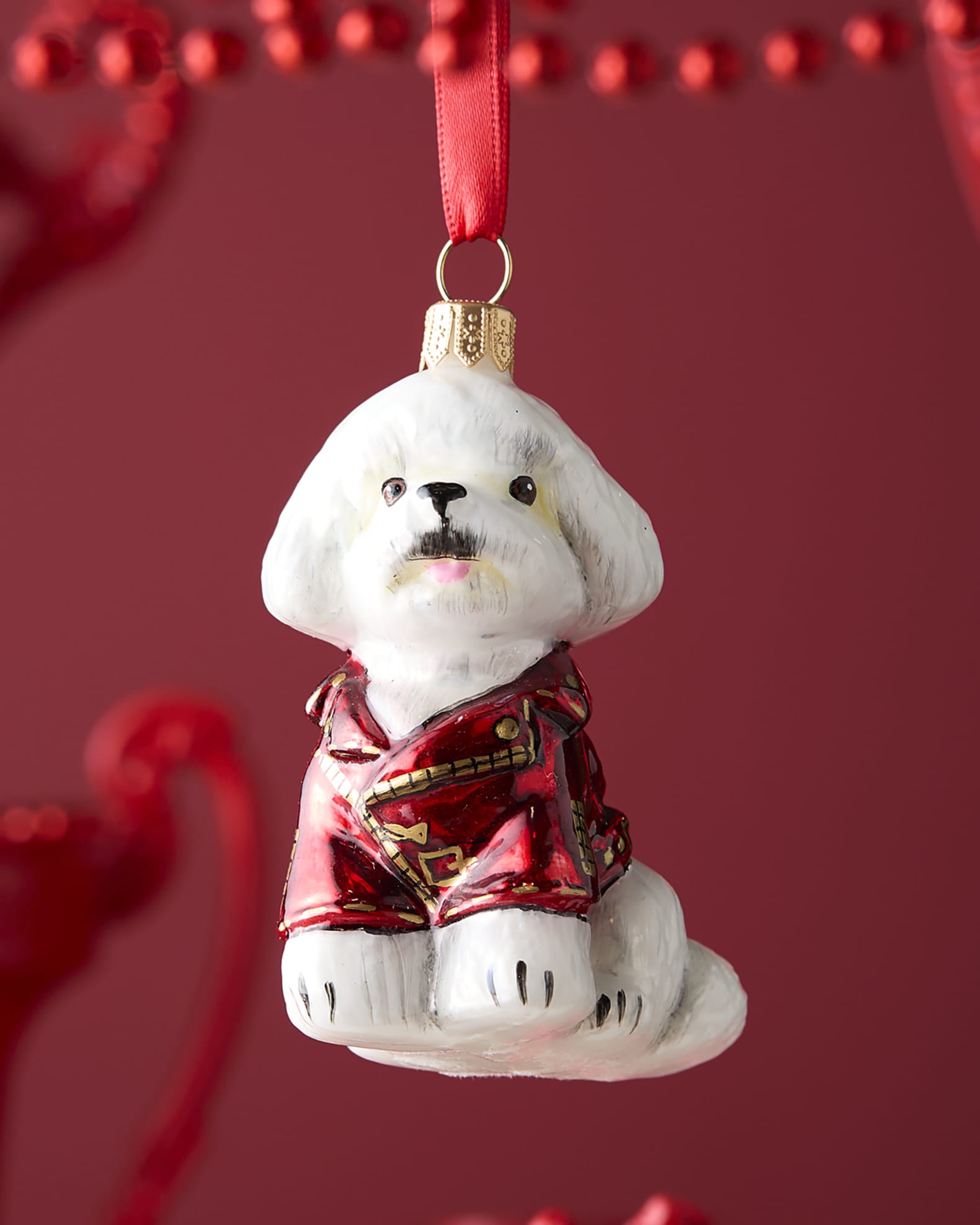 Bichon frise coat clearance