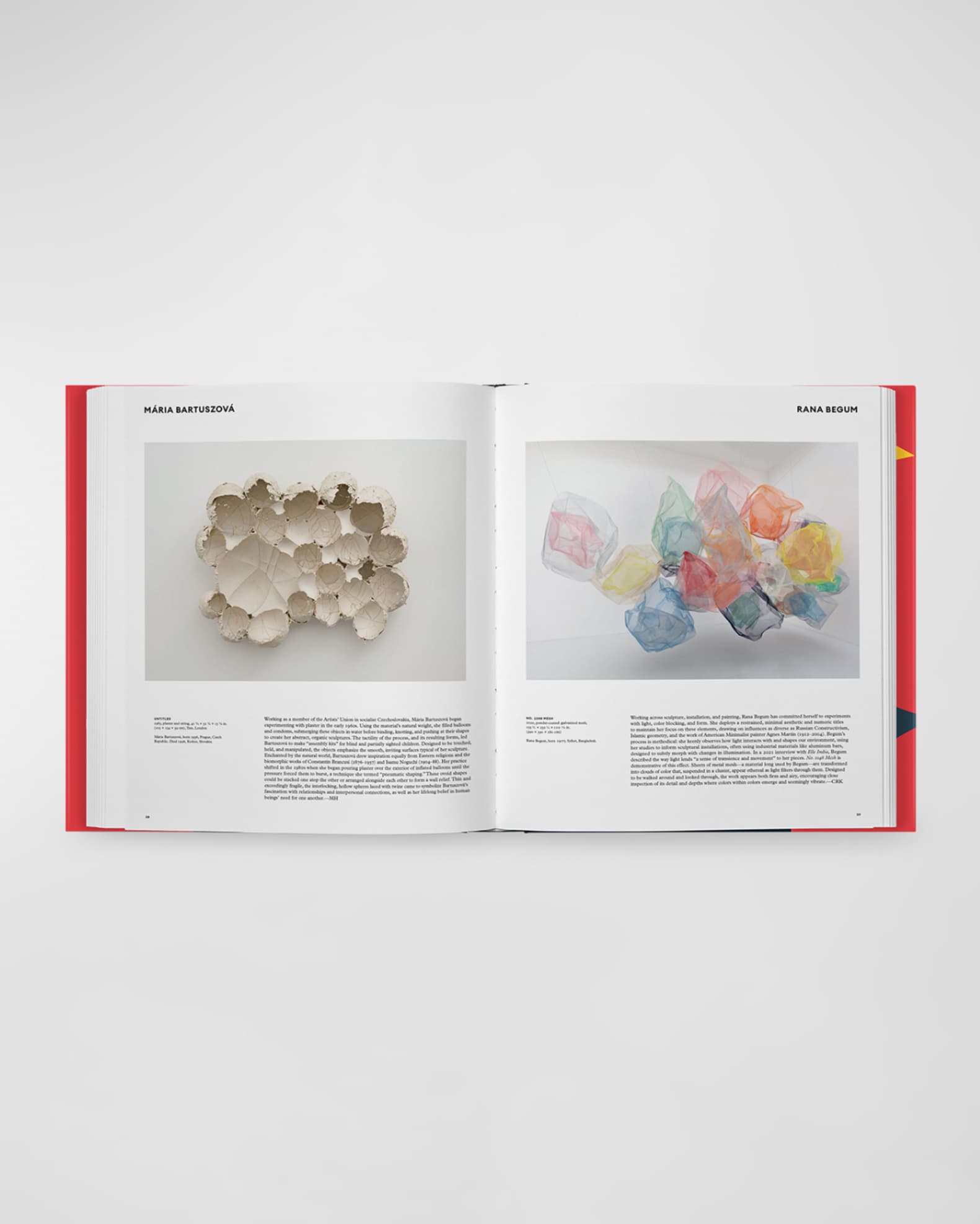 Phaidon Press "Great Women Sculptors" Book by Phaidon Editors | Horchow