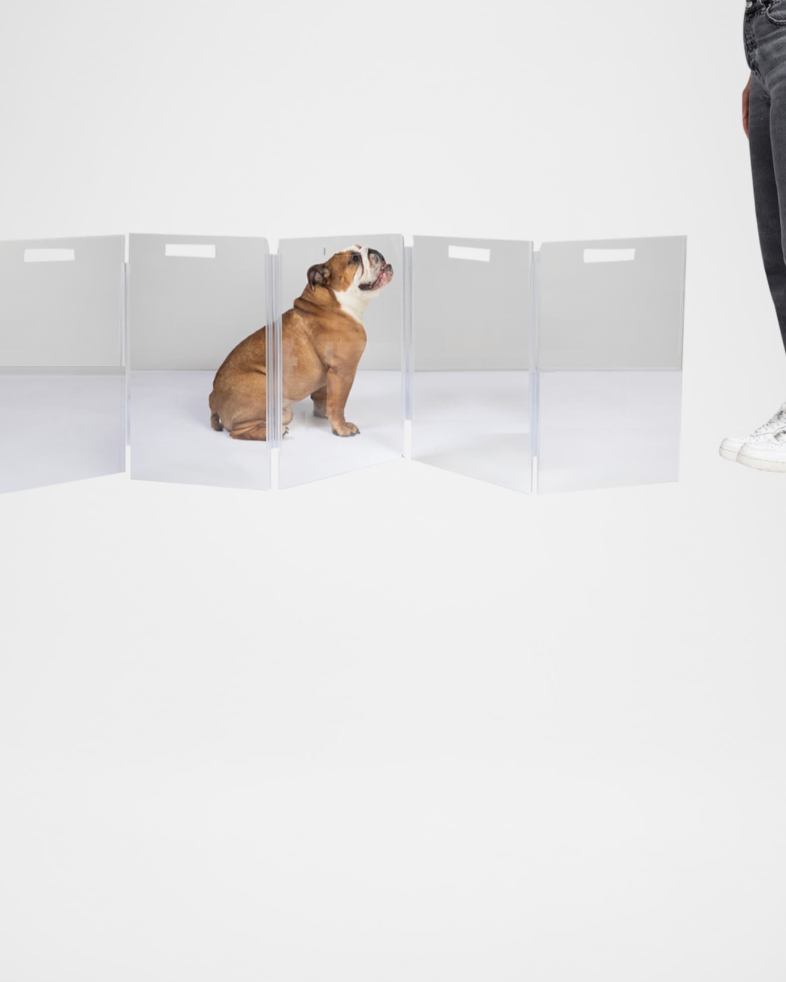 HIDDIN Clear 8Panel Low Zig Zag Pet Gate Horchow