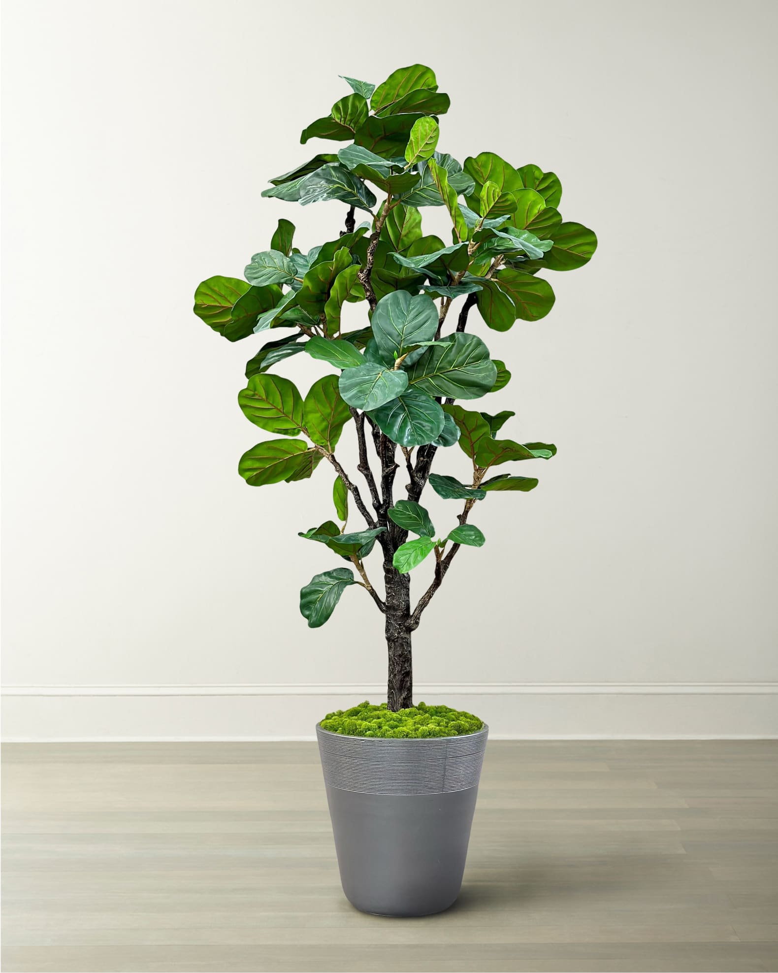 Winward Home Fiddle Leaf Tree in Planter, 96"
