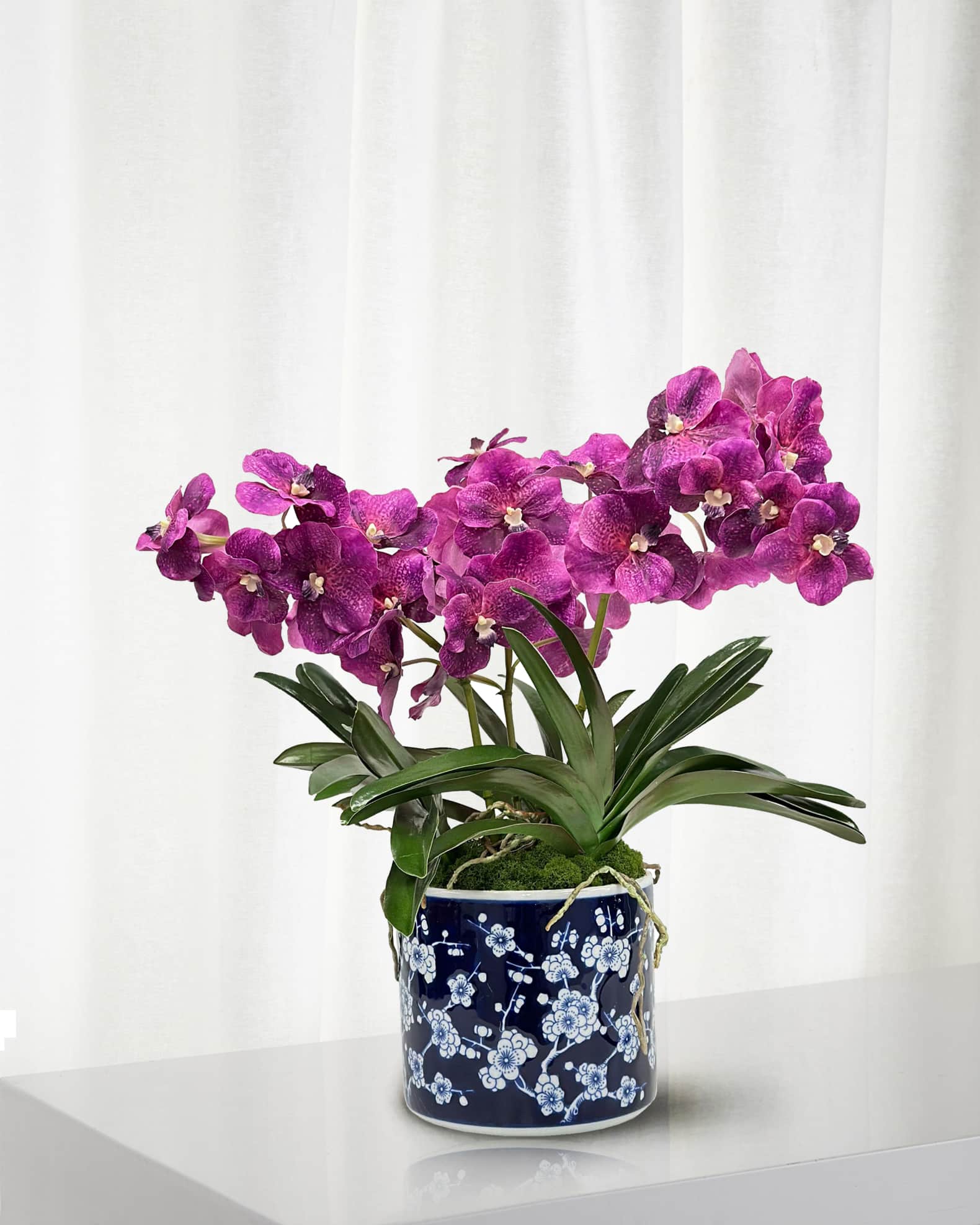 Winward Home Vanda Orchid 21" Faux Floral Arrangement in Porcelain Pot