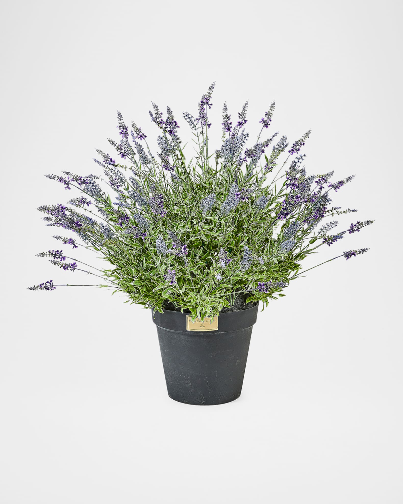 MacKenzie-Childs Lavender Urn Filler