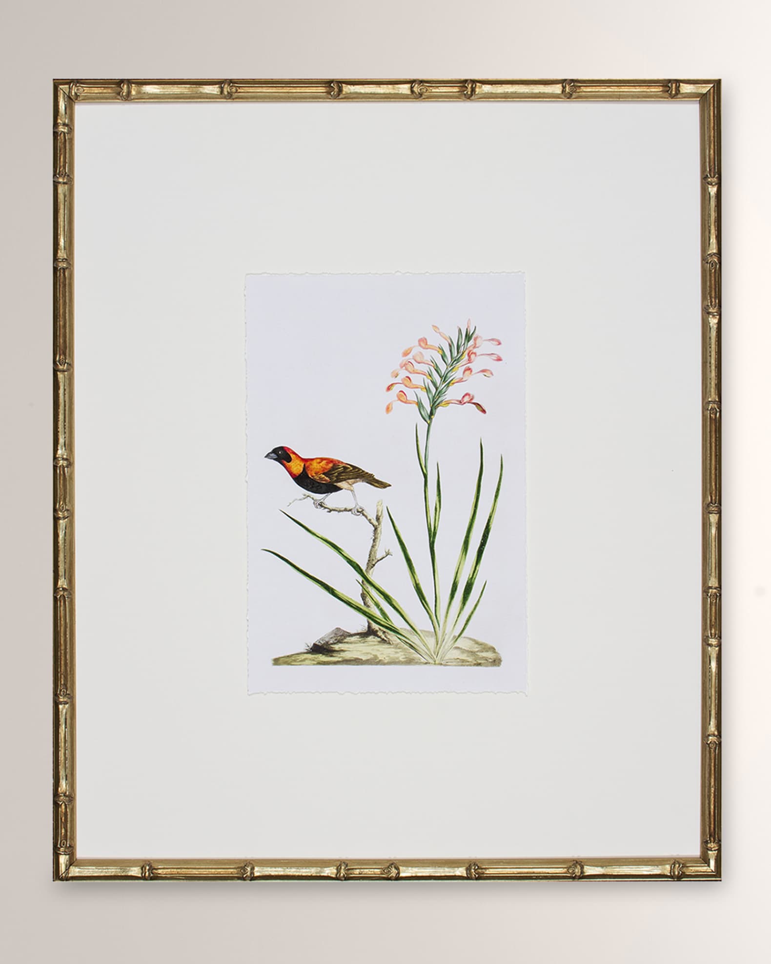 Shadow Catchers "Bird Habitat III" Framed Giclee