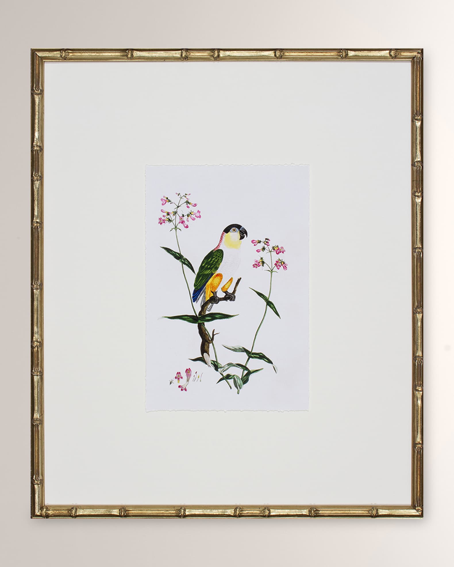 Shadow Catchers "Bird Habitat IV" Framed Giclee