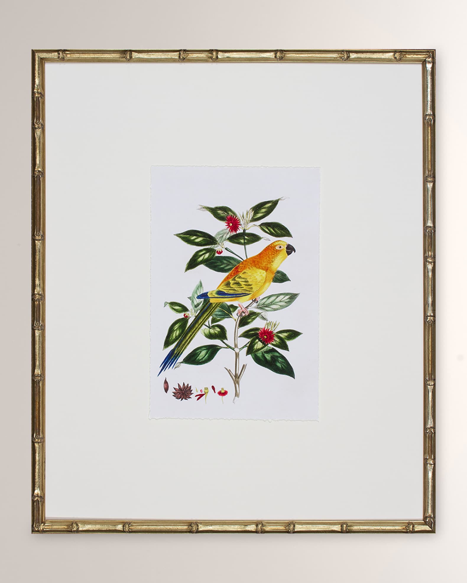 Shadow Catchers "Bird Habitat V" Framed Giclee