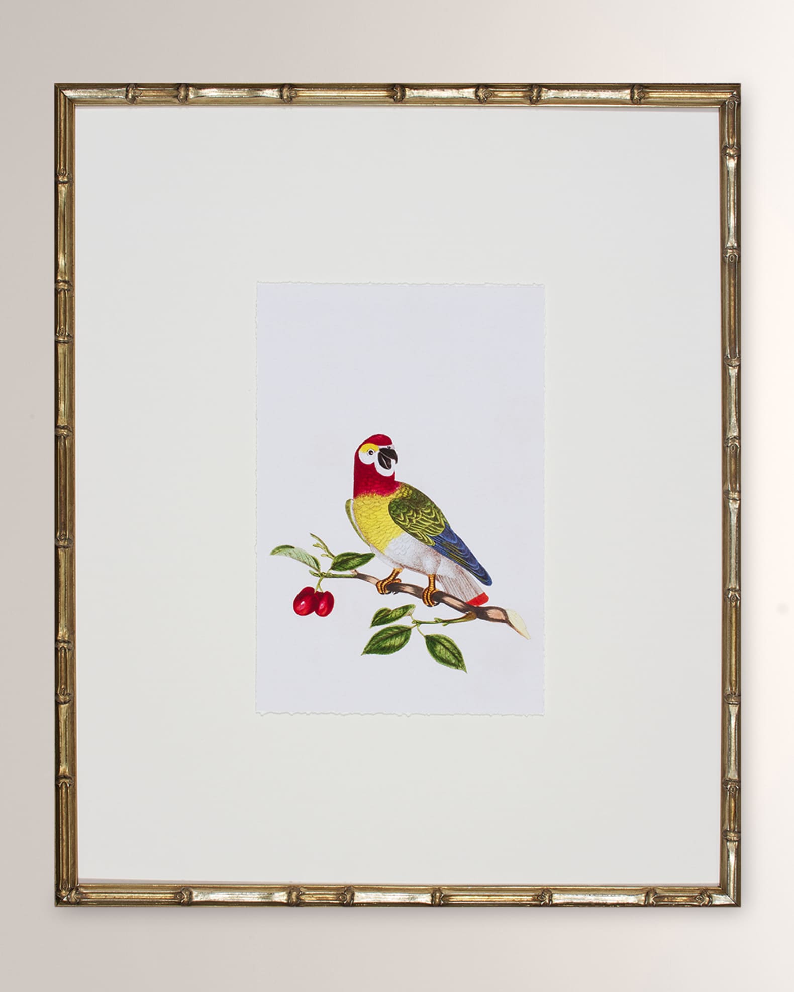 Shadow Catchers "Bird Habitat VI" Framed Giclee
