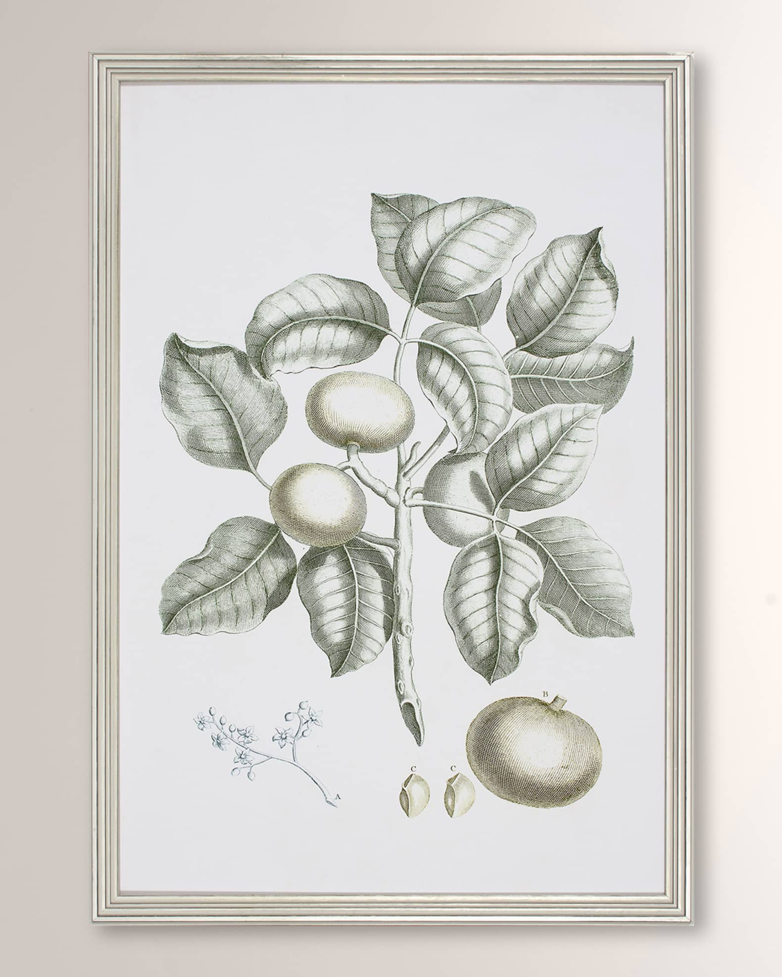 Shadow Catchers "Buchoz Tropical I" Framed Giclee