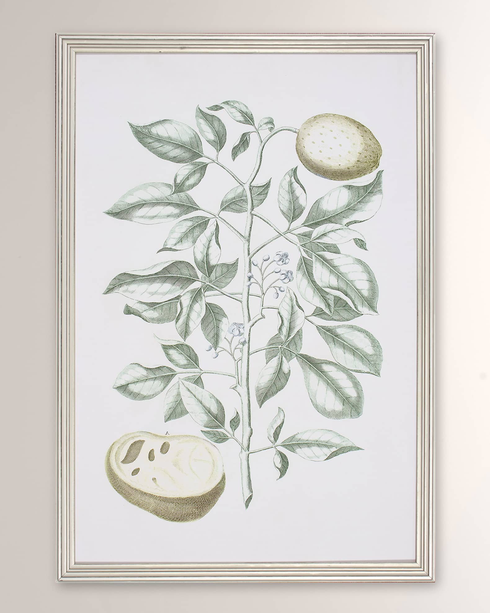 Shadow Catchers "Buchoz Tropical III" Framed Giclee