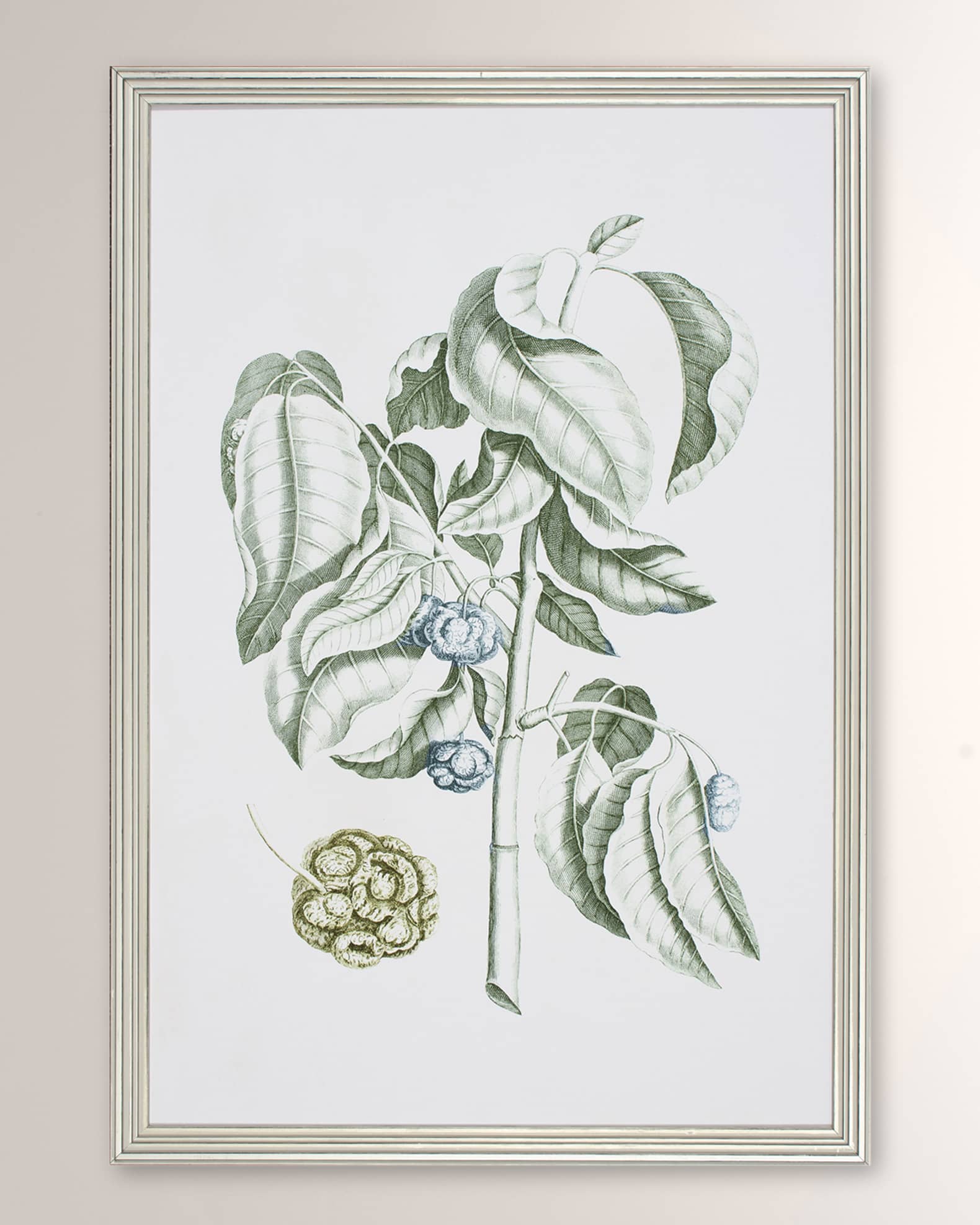 Shadow Catchers "Buchoz Tropical V" Framed Giclee