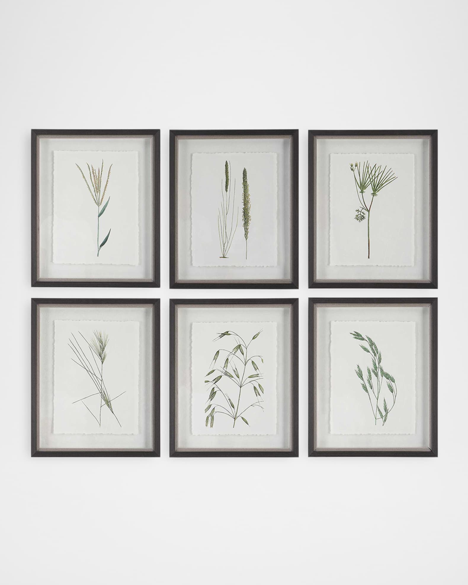 The Uttermost Co "Forest Finds" Framed Botanical Prints, Set of 6