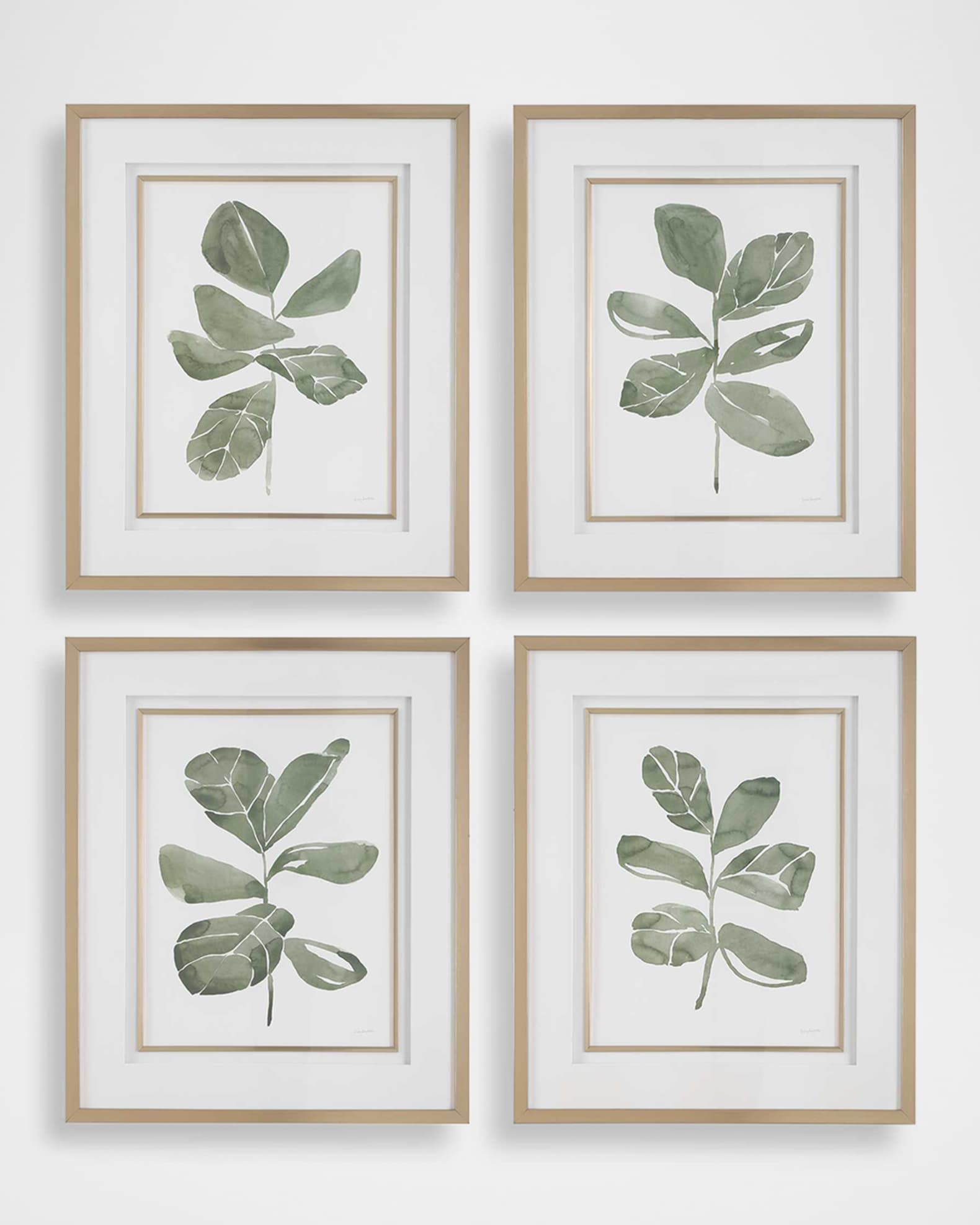 The Uttermost Co "Fiddle Head Leaf" Framed Botanical Prints by Haley Knighten, Set of 4